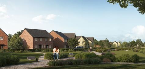 Our homes