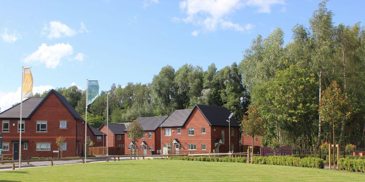 Homepage Partnerships